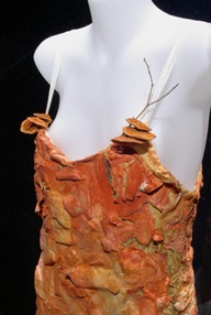 Image: Donna Franklin, Fibre Reactive 2004-2008, orange bracket fungi (Pyconporus coccineus) silk, organza, perspex, wood. Image © the artist