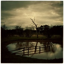 Jane Burton, The Other Side 1 2002/03, Type C photograph, 110h x 110w cm